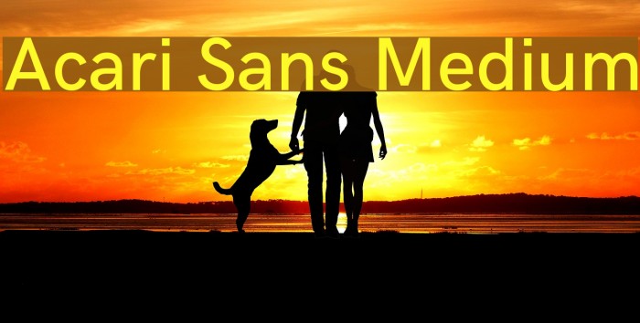 Acari Sans Medium Font examples