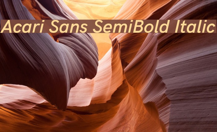Acari Sans SemiBold Italic Font examples