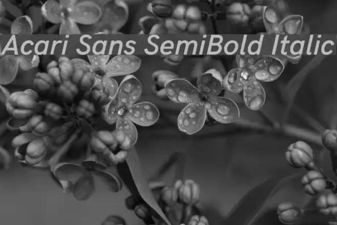 Acari Sans SemiBold Italic Font examples