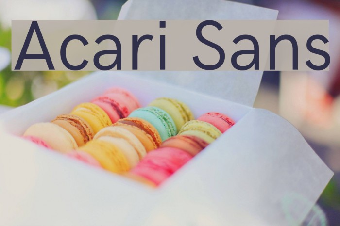 Acari Sans Font examples
