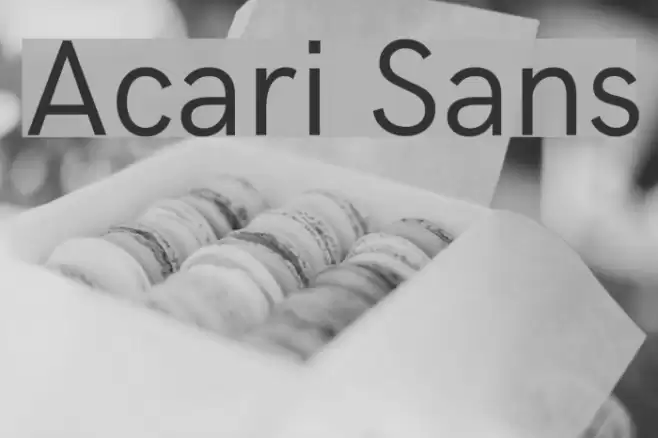 Acari Sans Font examples
