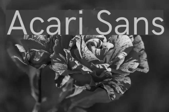 Acari Sans Font examples