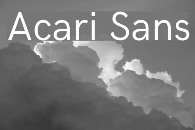 Acari Sans Font examples