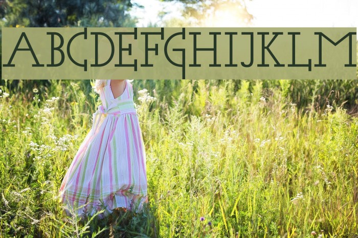 Acca Set Font examples