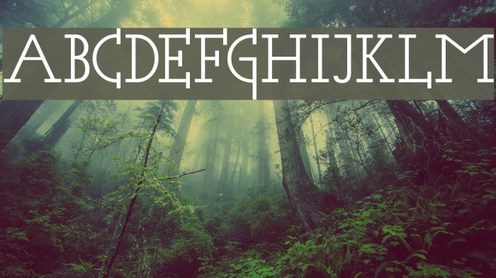 Acca Set Font examples