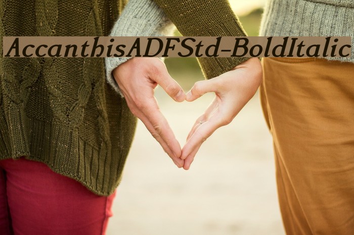 AccanthisADFStd-BoldItalic Font examples