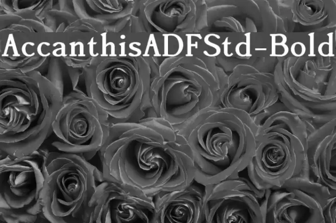 AccanthisADFStd-Bold Font examples