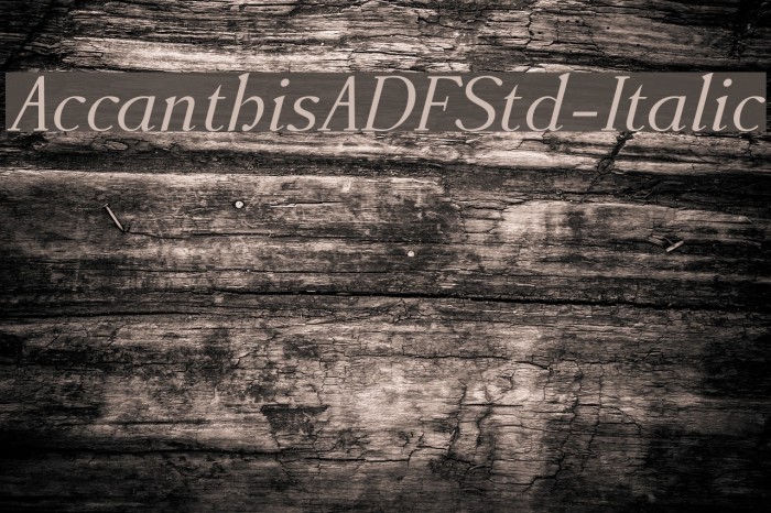 AccanthisADFStd-Italic Font examples