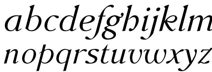 AccanthisADFStd-Italic Font LOWERCASE