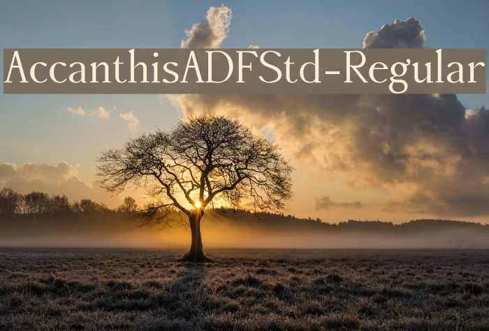 AccanthisADFStd-Regular Font examples
