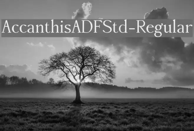 AccanthisADFStd-Regular Fuentes examples