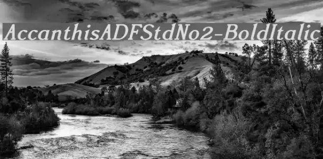 AccanthisADFStdNo2-BoldItalic Fuentes examples