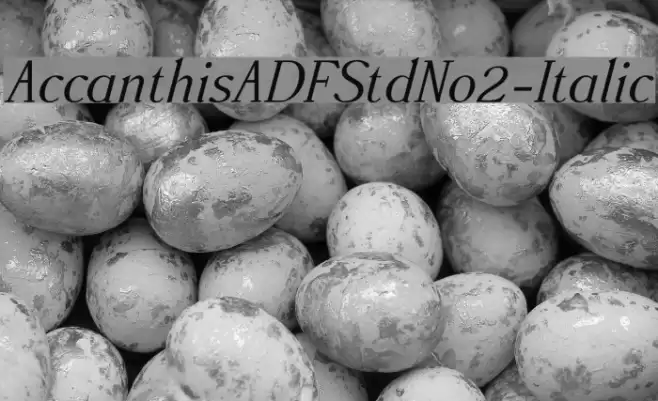 AccanthisADFStdNo2-Italic Font examples