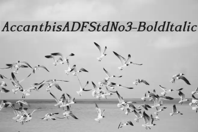 AccanthisADFStdNo3-BoldItalic Fuentes examples