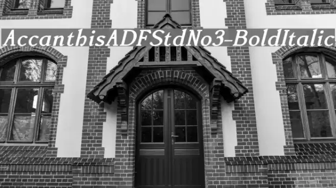 AccanthisADFStdNo3-BoldItalic Fuentes examples