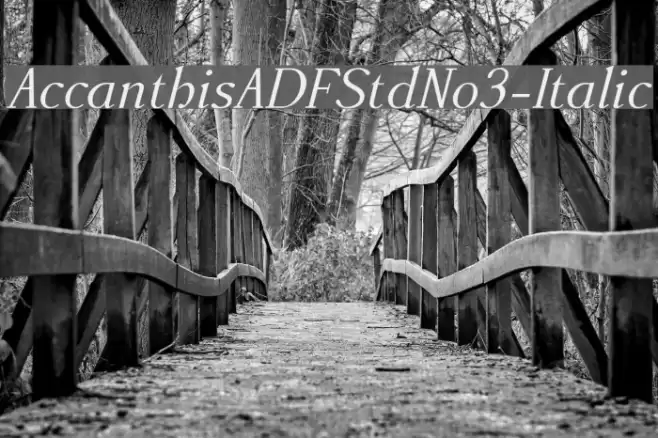 AccanthisADFStdNo3-Italic Font examples