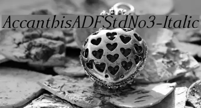 AccanthisADFStdNo3-Italic Font examples