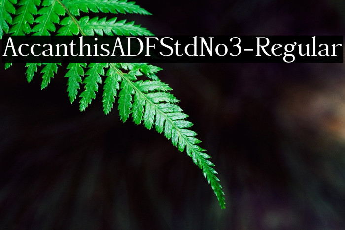 AccanthisADFStdNo3-Regular Font examples