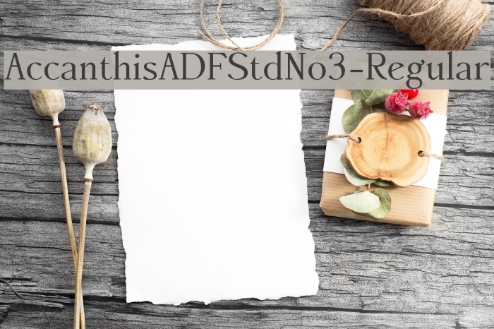 AccanthisADFStdNo3-Regular Font examples
