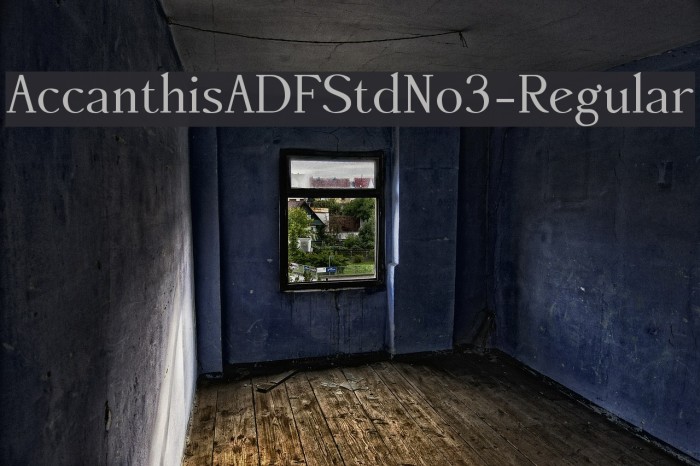 AccanthisADFStdNo3-Regular Font examples