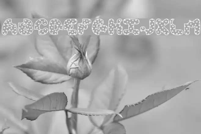 Accent Cookie Dough Fonte examples