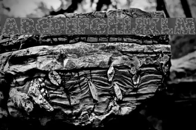 Accent Swiss Cheese Schriftart examples