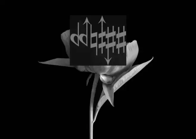 Accidentals Fonte examples