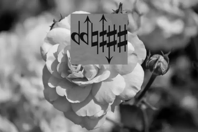 Accidentals Fonte examples