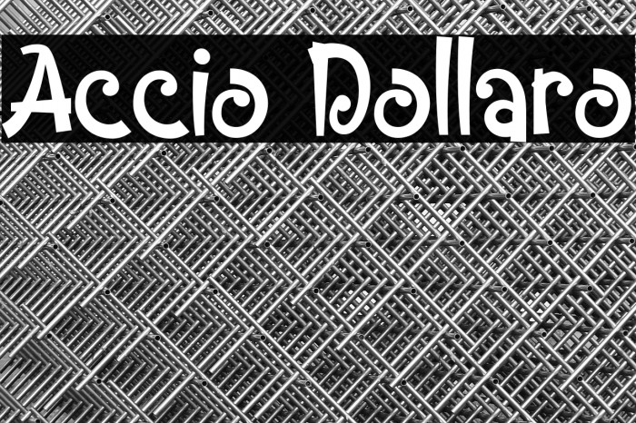 Accio Dollaro Example 2