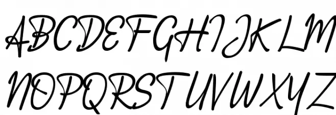 Accountant Signature Font Litere mari