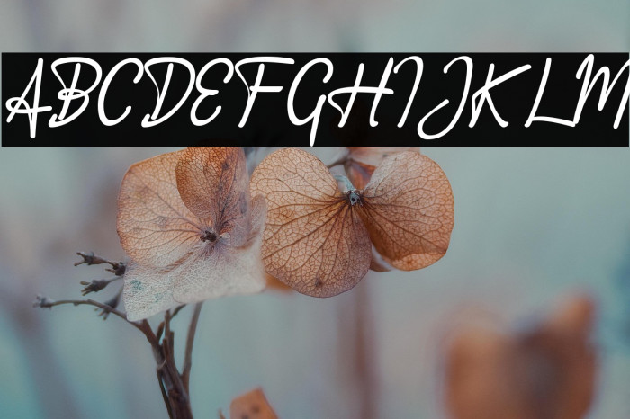 Accountant Signature Example 1