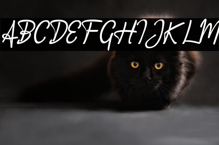 Accountant Signature Example 2