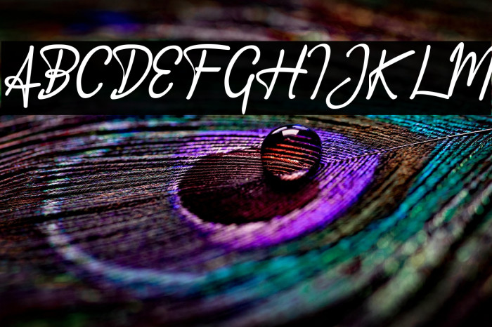 Accountant Signature Example 3