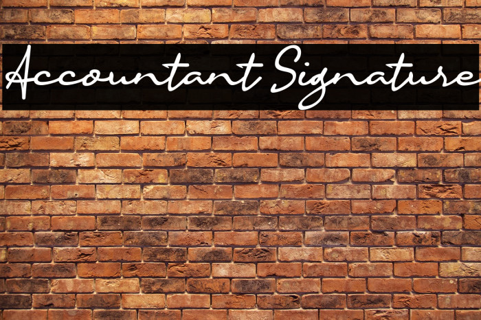 Accountant Signature Example 1