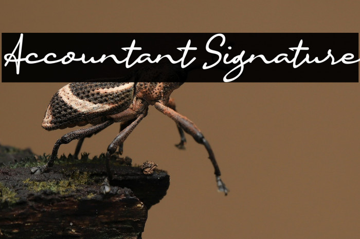 Accountant Signature Example 2