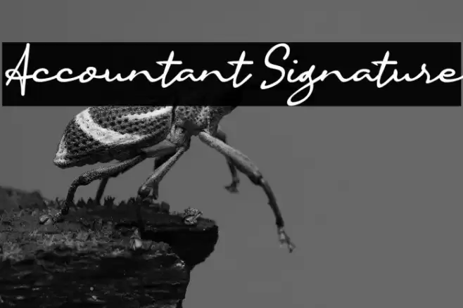 Accountant Signature Font examples