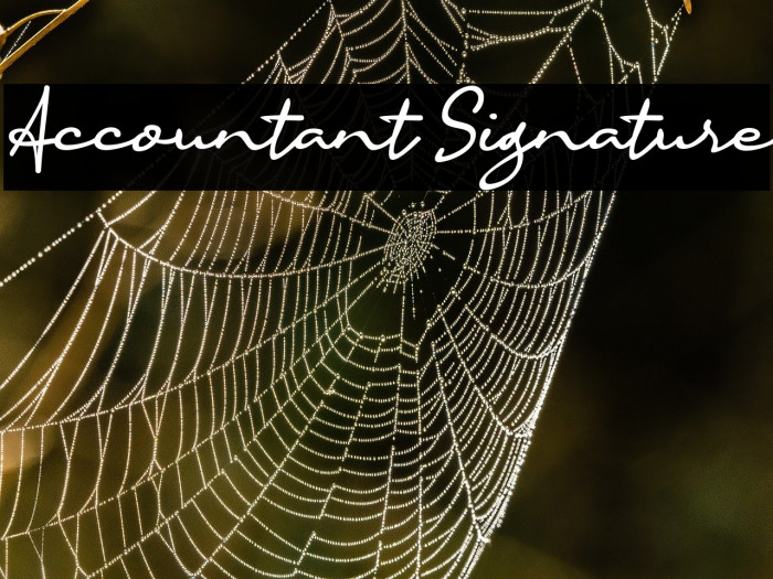 Accountant Signature Example 3
