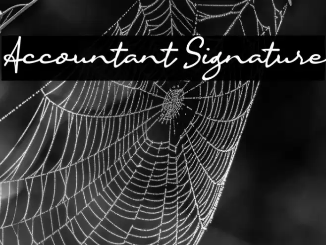 Accountant Signature Font examples