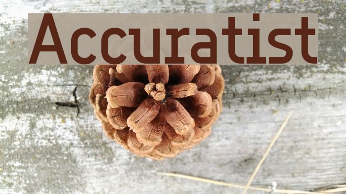 Accuratist Font examples