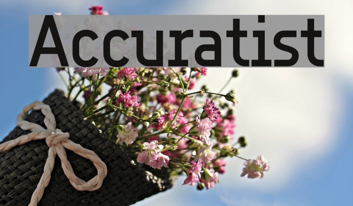 Accuratist Example 1