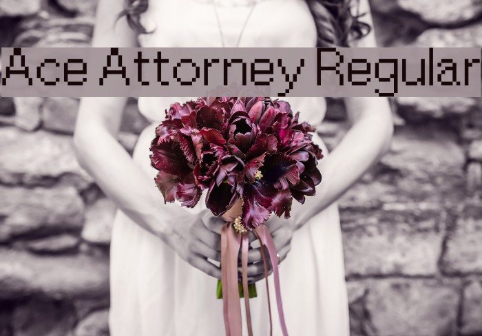 Ace Attorney Regular Font examples