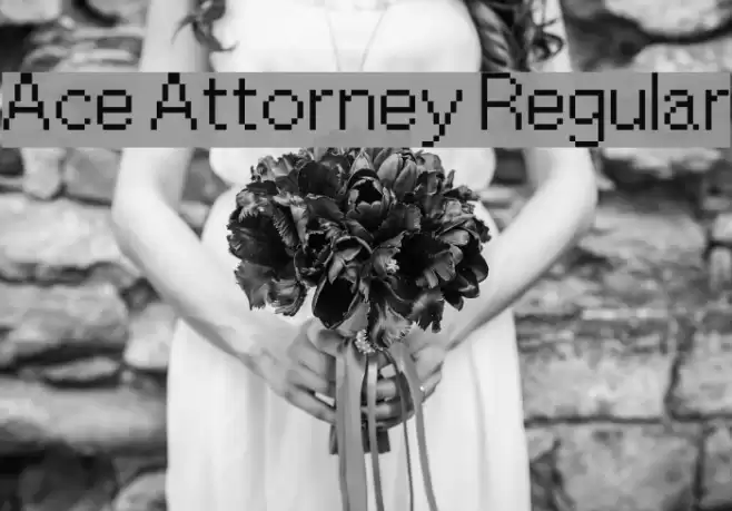 Ace Attorney Regular Font examples