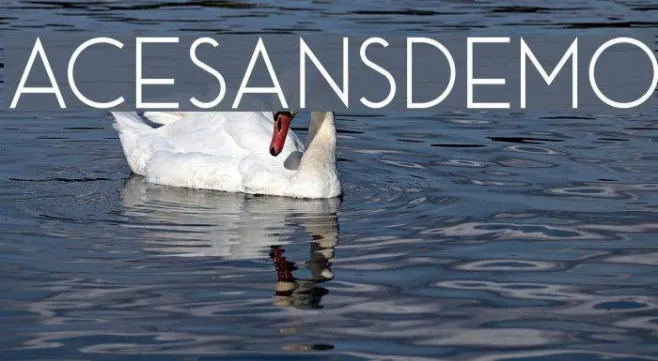 AceSansDemo Example 1