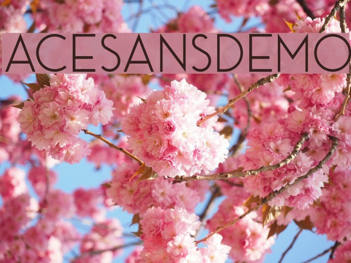 AceSansDemo Font examples