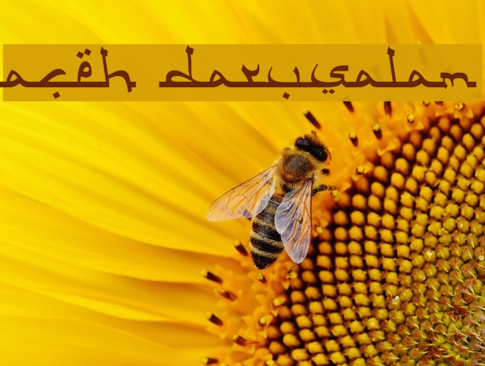 Aceh Darusalam Font examples