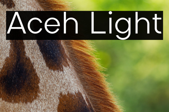 Aceh Light Example 1