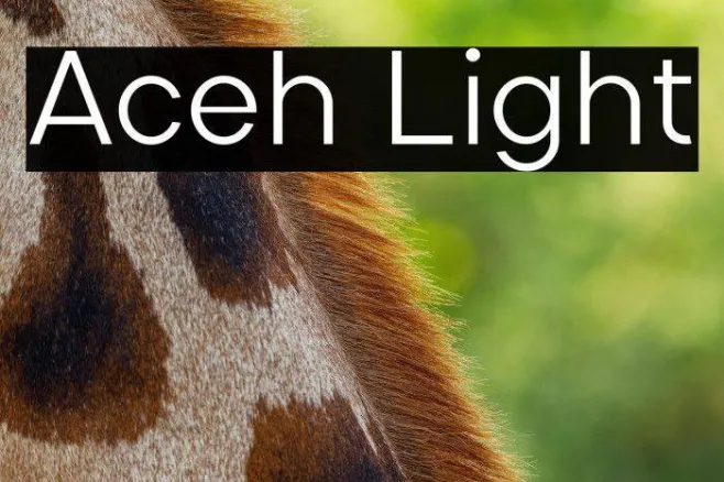 Aceh Light Example 1
