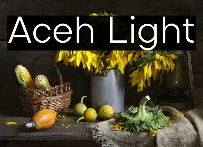 Aceh Light Example 2