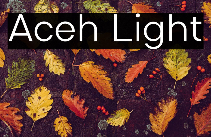 Aceh Light Example 3