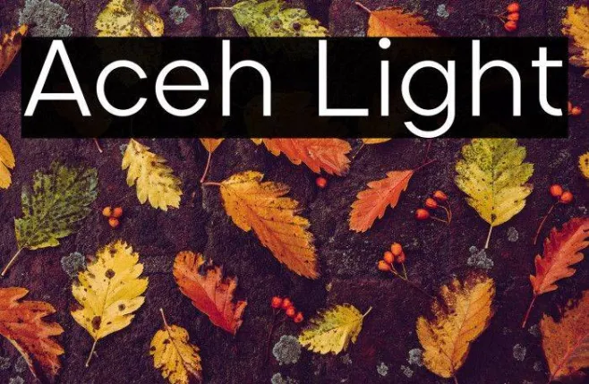 Aceh Light Example 3